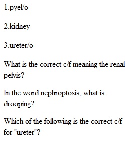 Chapter 6 Quiz